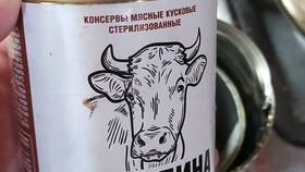 Цены на консервы в магазинах 