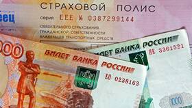 Чем опасна езда без страховки в Фамилия