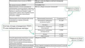 Что будет человеку без паспорта: правовые и бытовые последствия в Фамилия