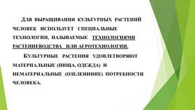 Для чего человек использует растения в Фамилия