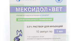 Инструкция по применению препарата Мексидол в Фамилия