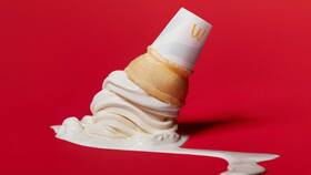 Из чего делают мороженое в McDonald's в Фамилия