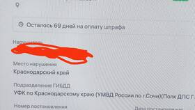 Как назывался штраф в историческом контексте в Фамилия