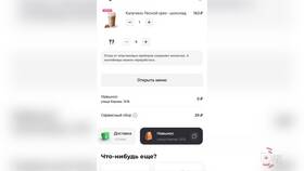 Как оформить доставку в приложении Вкусно точка в Фамилия