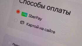Как оформить возврат в Додо Пицца в Фамилия