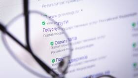 Как подать налоговую декларацию через Госуслуги в Фамилия