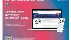 Как подать уведомление о деятельности ИП через Госуслуги в Фамилия