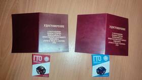 Как получить УИН ГТО без использования портала Госуслуги в Фамилия