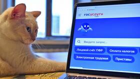 Как скачать выписку с Госуслуг в Фамилия