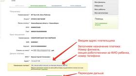 Назначение платежа: что писать при оплате кредита в Фамилия