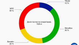 Сколько интернета можно раздать с МТС в Фамилия