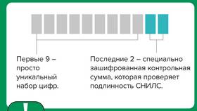 СНИЛС: что это за документ и его расшифровка в Фамилия