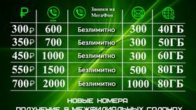 Стоимость минуты разговора на МегаФоне по России в Фамилия