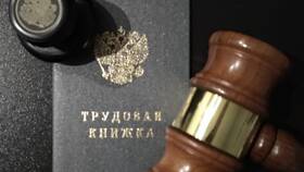 Увольнение как дисциплинарное взыскание по ТК РФ в Фамилия