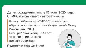 Зачем нужен СНИЛС при обучении в Фамилия