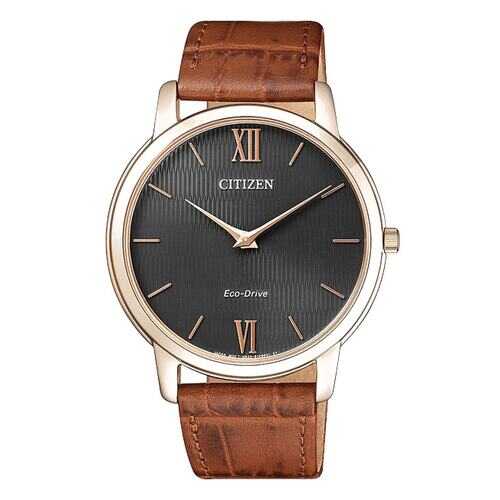Наручные часы Citizen AR1133-15H в Фамилия