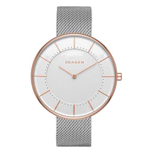 Наручные часы кварцевые женские Skagen SKW2583 в Фамилия