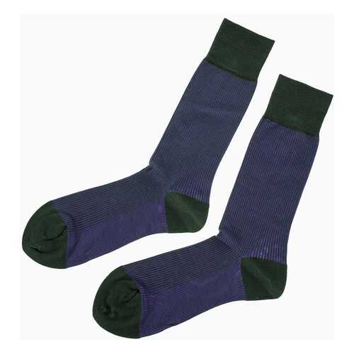 Носки Collonil 2-113/140 green фиолетовый 39 в Фамилия